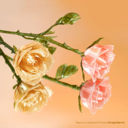 PETG Translucent image 1